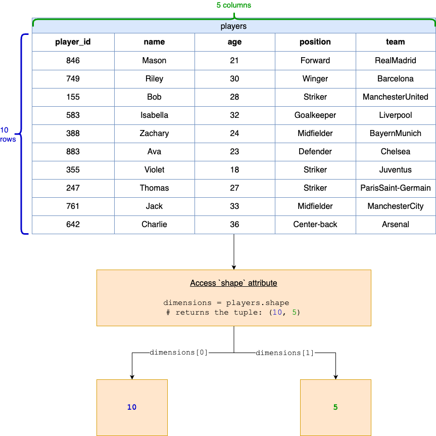 get the size of a dataframe fig1